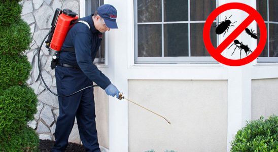 Tire Pire İlaçlama böcek ilaçlama ve haşere kontrolü — ilaclama-tr.com
